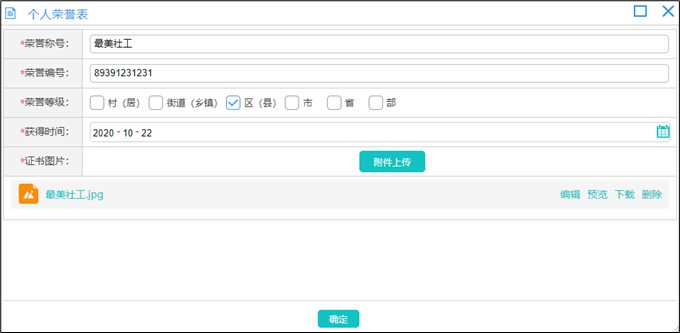 社工信息系统1-个人荣誉