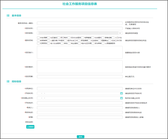 社工信息系统3-项目信息页面