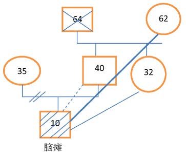 "家庭结构图"