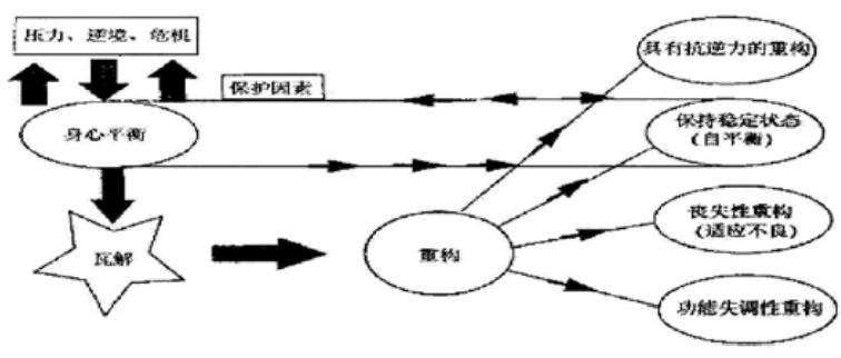 抗逆力运作模型